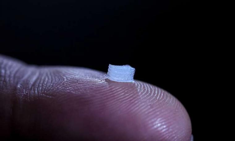 A prototype of a 3D-printed device with living cells that could help spinal...