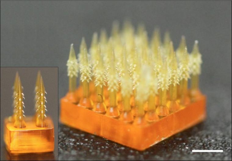 This microneedle array has backward-facing barbs that interlock with tissue...