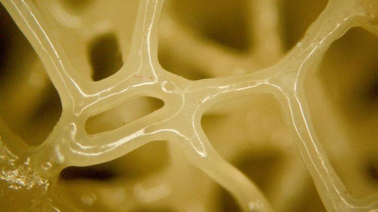 3D printed material mimics biological tissues