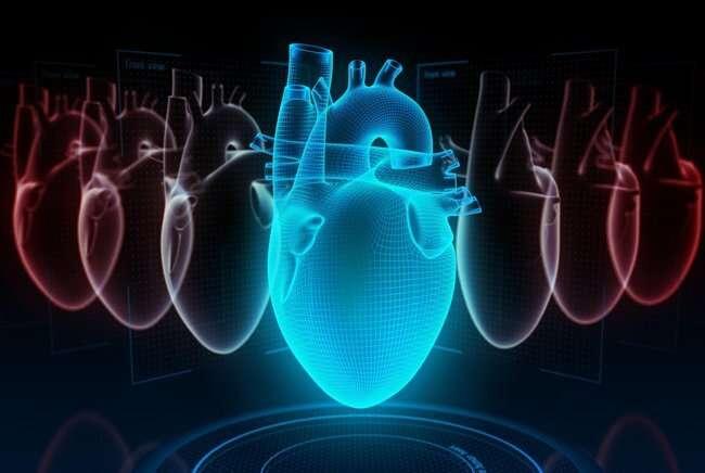 Neural network helps doctors explain relapses of heart failure
