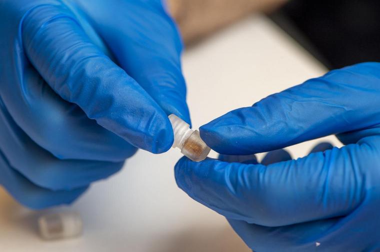 Once swallowed, this capsule is designed to collect bacteria throughout the...