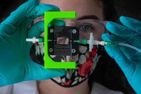 woman demonstrates a laboratory setup for testing blood flow through 3D-printed hydrogels